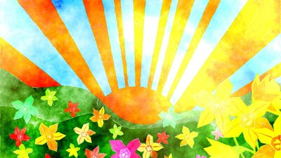 Flowers and Sunshine