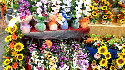 Plant stall