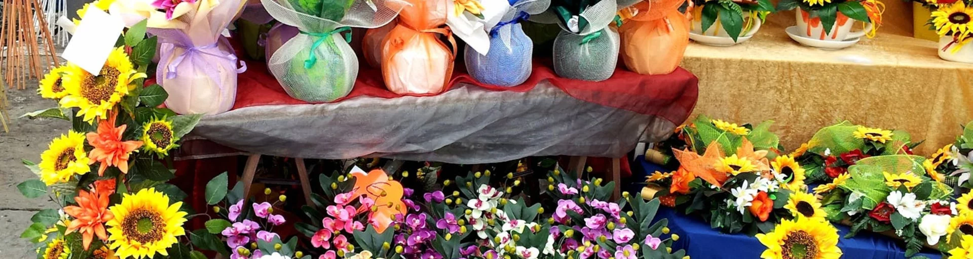 SpringFest in Canberra