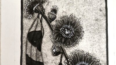 Image | Sandy Harvey Tasmanian Blue Gum (Eucalyptus globulus) 2026 | Photograph provided by the Arti