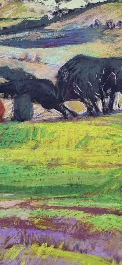 Kim Mahood - detail Detail