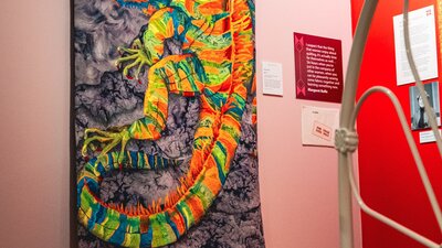 Iggy quilt by Bronwyn Hill. Bright iguana quilt with colourful embroidery and patchwork