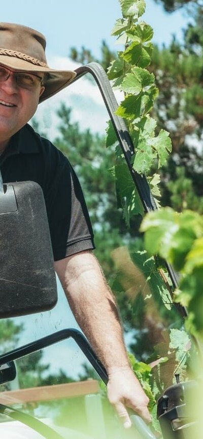 Vineyard 1207 Vineyard 1207