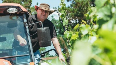 Vineyard 1207 Vineyard 1207