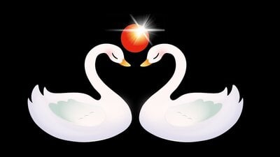 Stonfest logo of two swans