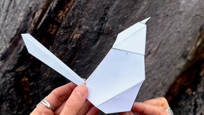 Image | Example Constructed Bird Template Made by Eggpicnic | Courtesy of the Artist Image | Example Constructed Bird Template Made by Eggpicnic | Courtesy of the Artist