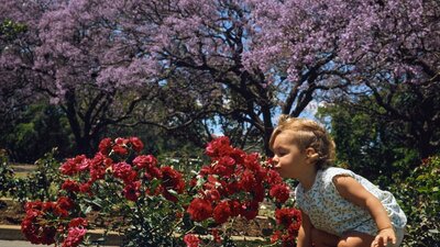 Photograph of a child bending down to smell flowers