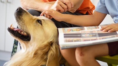 A child and volunteer patting a dog.