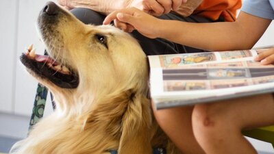 A child and volunteer patting a dog.