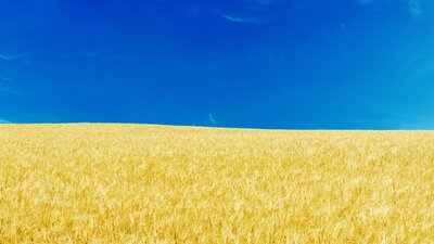 Ukraine