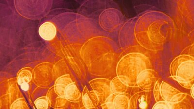 David Pereira presents: STRINGS IN SPRING II Beautiful Chamber Music for Cello, Violin, Harp & Piano