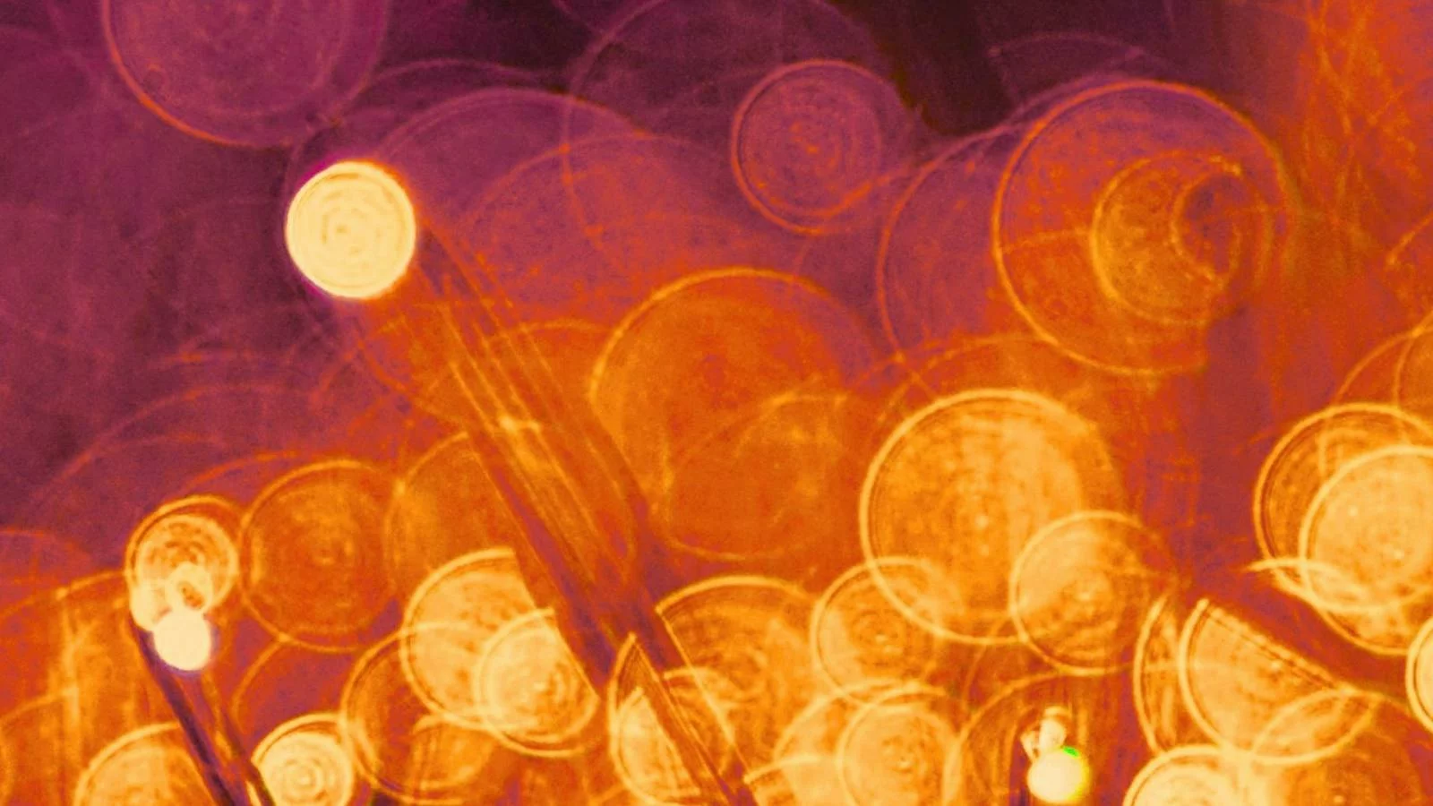 Strings in Spring – Beautiful Chamber Music for Cello, Violin, Harp and Piano at The Chapel, Australian Centre for Christianity &amp; Culture