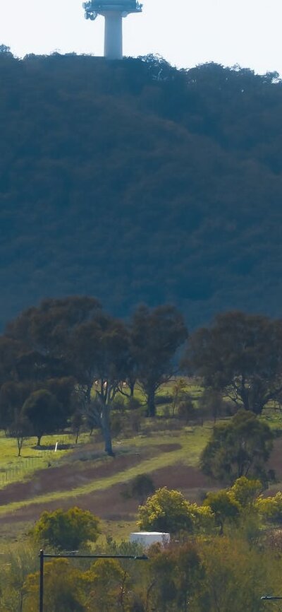 Cars parked at the Arboretum with Telstra Tower in the background