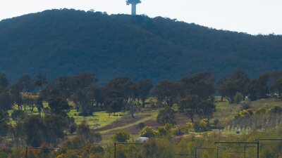 Cars parked at the Arboretum with Telstra Tower in the background