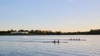 Rowers on Lake Burley Griffin