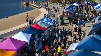 A day at the markets - stalls and people