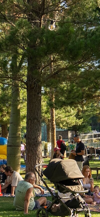 Zoofest