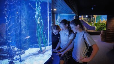 Aquarium