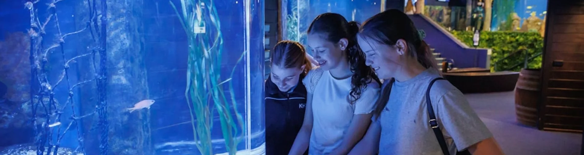 The National Zoo and Aquarium celebrates World Ocean Day