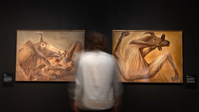 Nolan Collection at Canberra Museum + Gallery Nolan Collection at Canberra Museum + Gallery someone observing the artworks