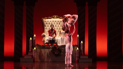 The Nutcracker Arabian