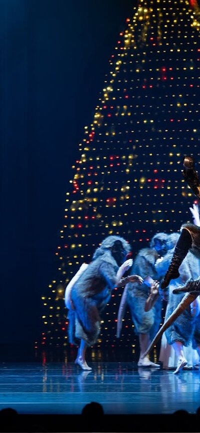 The Nutcracker Soldiers and Rats