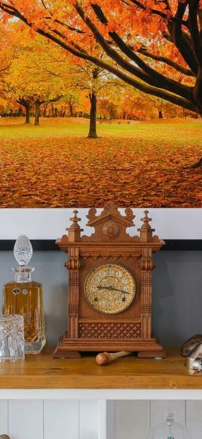Robert Vine Landscape Art Photo of trees with Autumn leaves set in a local Canberra Park