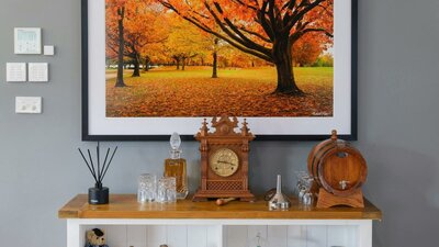 Robert Vine Landscape Art Photo of trees with Autumn leaves set in a local Canberra Park