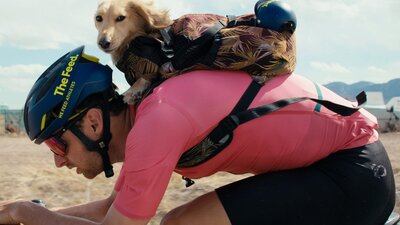 Top Dog Film Festival World Tour 2026 Male bike rider with a small golden dachshund dog on his back