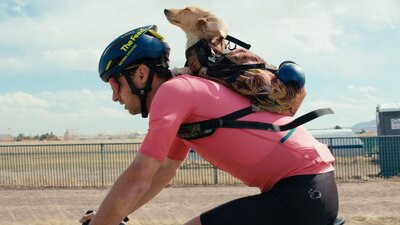 Top Dog Film Festival World Tour 2026 Male bike rider with a small golden dachshund dog on his back enjoying the breeze