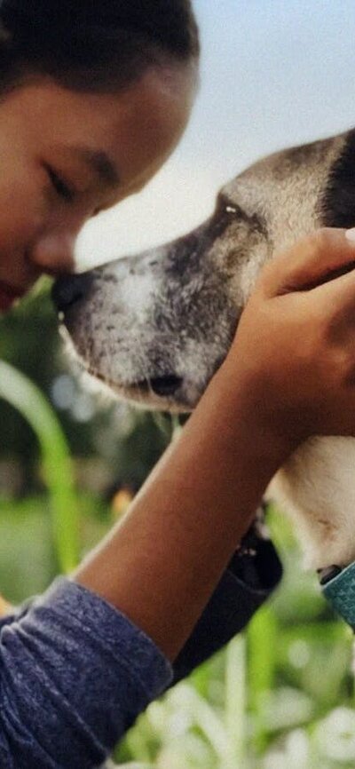Top Dog Film Festival World Tour 2026 Young girl touches nose with a white dog in an embrace