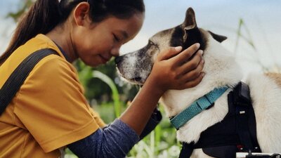Top Dog Film Festival World Tour 2026 Young girl touches nose with a white dog in an embrace