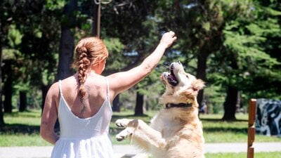 Paws Party Canberra