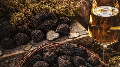 5-Course Truffle Degustation with Matched Wines