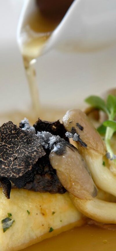 Plated dish featuring truffle and mushroom