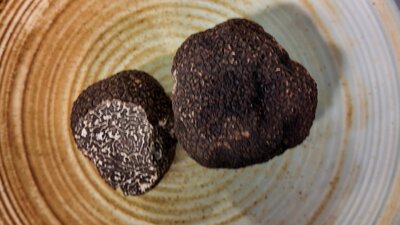Truffle Truffle