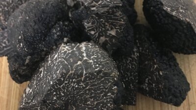 Truffle from next door The Truffle Farm
