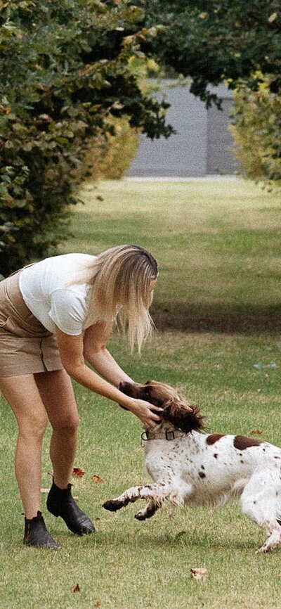 Truffle Dog