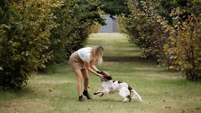 Truffle Dog