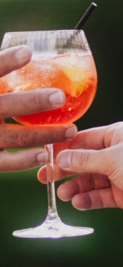 Twilight in the Gardens