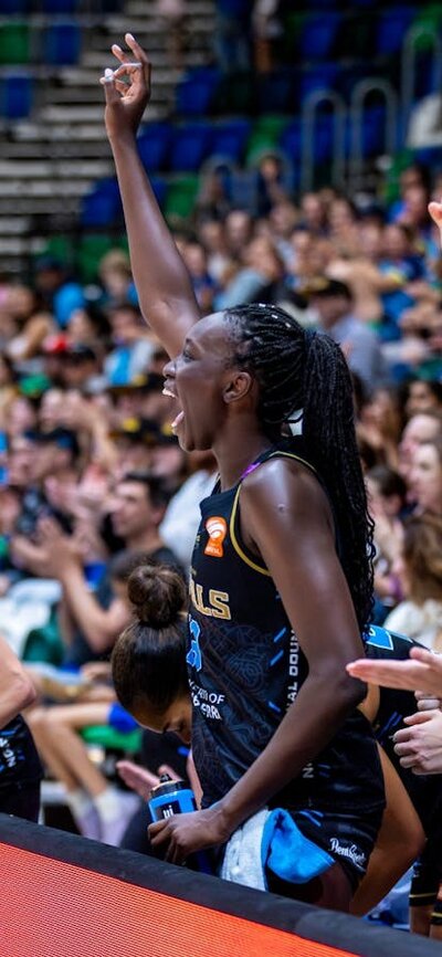 UC Capitals players cheering with their hands up on the player bench.