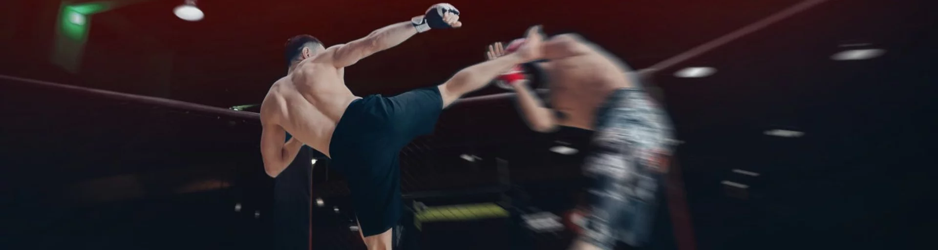 UFC 330: Makhachev vs Garry