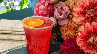 Colourful spring gin cocktail with orange garnish at the Underground Spirits Gin Garden, Floriade Ca