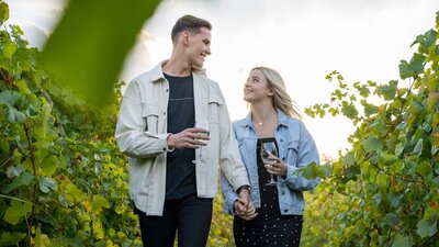 Mount Majura Vineyard