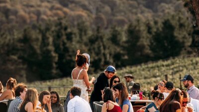 Live Music in the Vines
