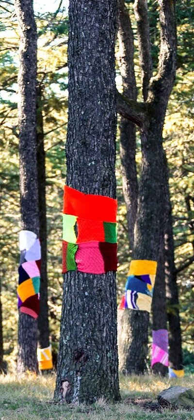 Warm Tree Tall tree trunks wrapped in multicoloured scarfs