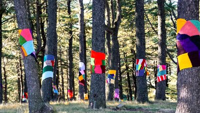 Warm Tree Tall tree trunks wrapped in multicoloured scarfs