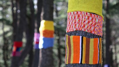 Warm Trees 1