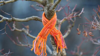 Warm Trees 3