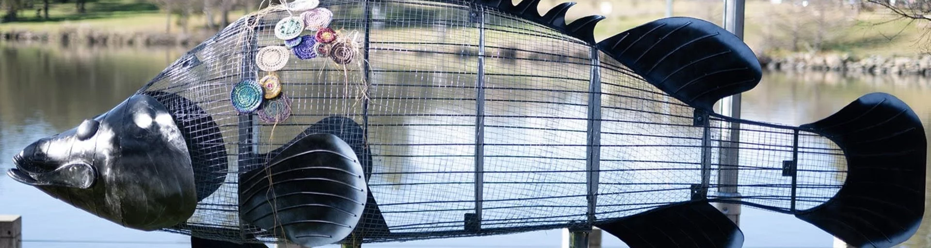 Weaving Waters | Mandji the Murray Cod